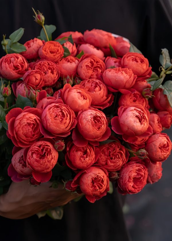Cinnabar Bowl Roses-Your Roses