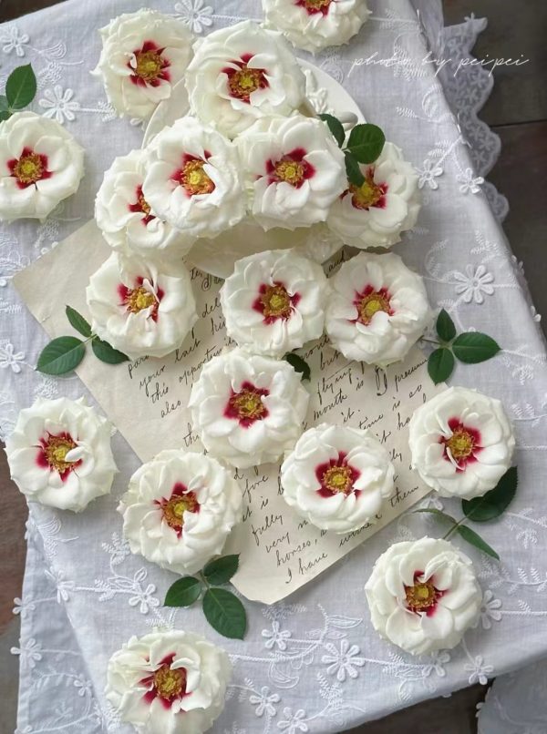 Brideside Rose for sale-your roses