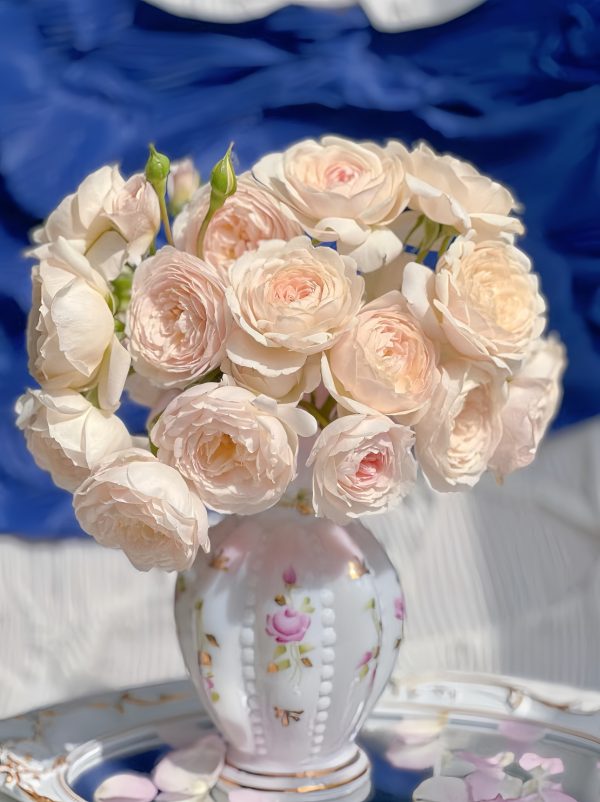 Desdemona Rose your-roses