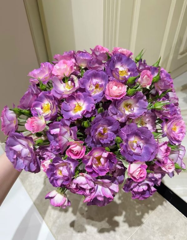 Blue For You Rose for sale
