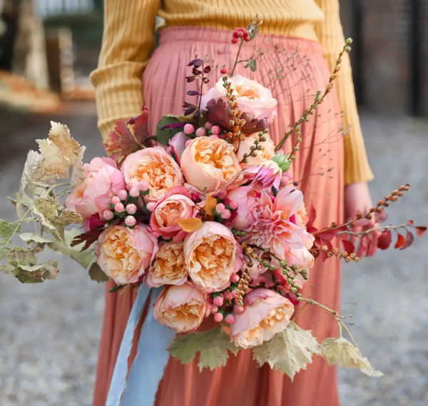 Edith Rose Plant
