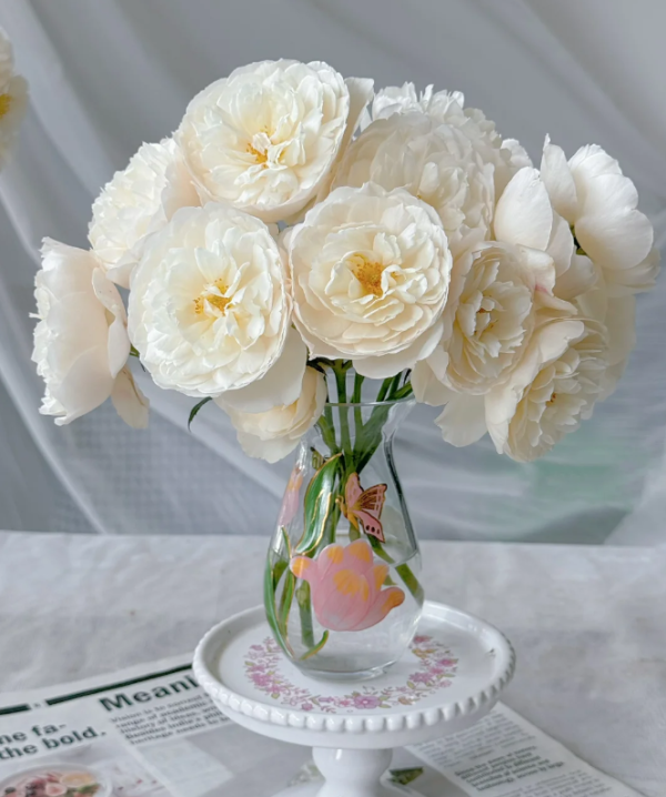 catherine and william rose丨Your roses