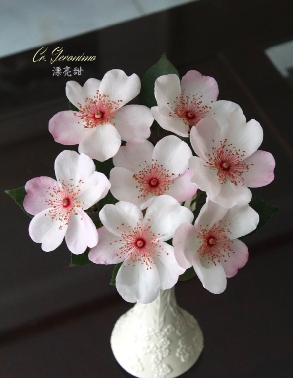Astronomia Rose Sweet Pretty Rose The Charlatan Rose - Image 5