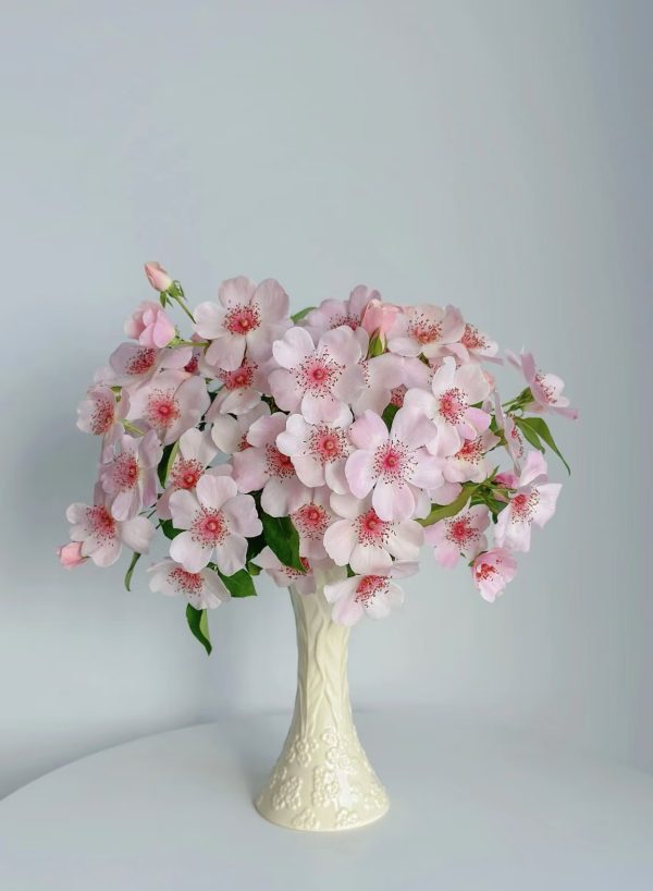 Astronomia Rose丨Your roses