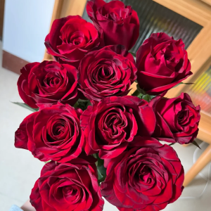 black magic roses for sale丨Your roses