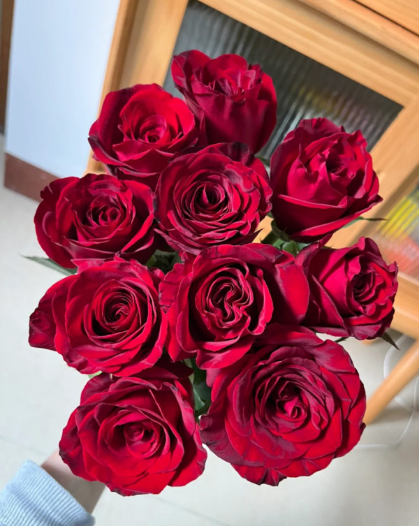 black magic roses for sale丨Your roses