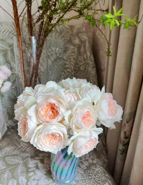bolero roses丨Your roses