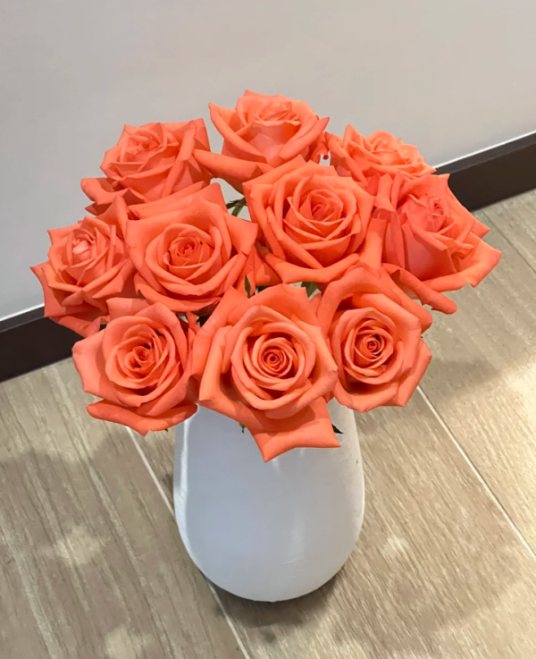 rose movie star丨Your roses
