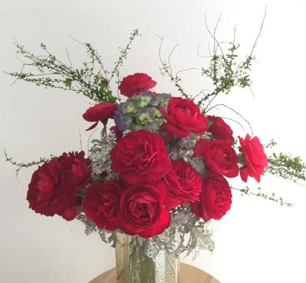 Scarlet Bonica Rose Plant丨Your roses