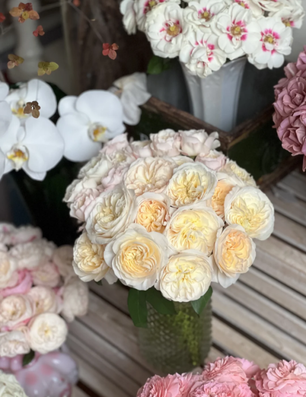 Bessie Rose for sale丨Your roses