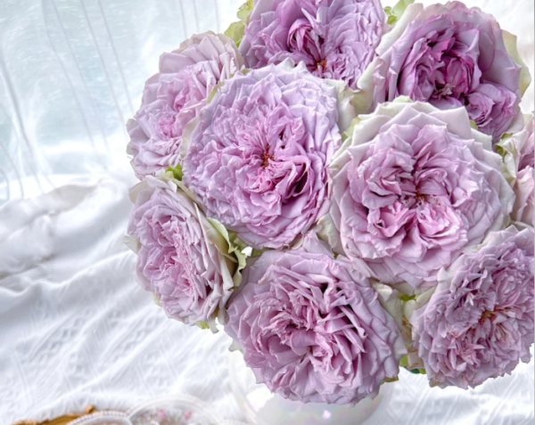 Coffret Roses丨Your roses
