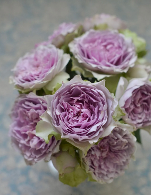 Rose Coffret丨Your roses