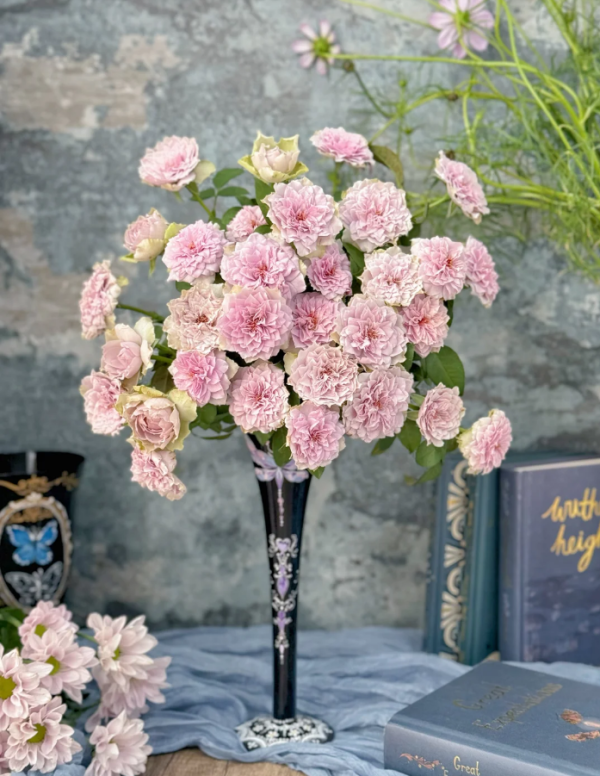 Coffret Rose for sale丨Your roses