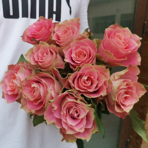 Japanese tale Rose丨Your roses