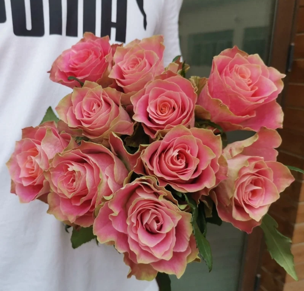 Japanese tale Rose丨Your roses