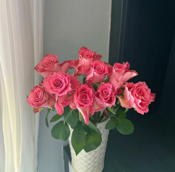 Rose Japanese tale丨Your roses