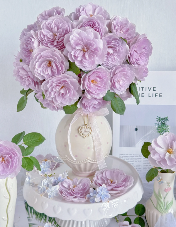 Lapis Lazuli Rose Plant for sale丨Your roses