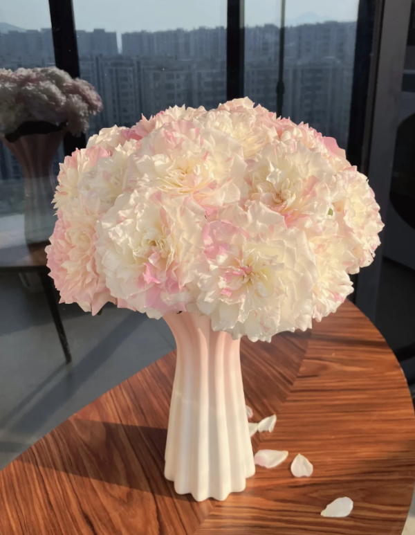 Mille-feuille Rose for sale丨Your roses