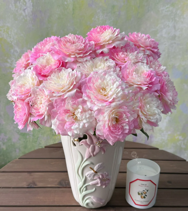 Mille-feuille Rose Plant丨Your roses