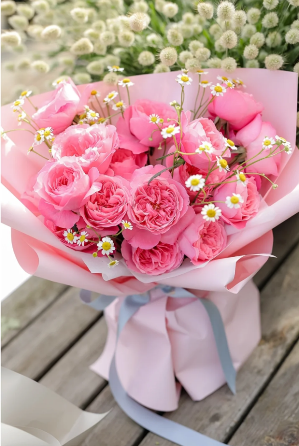 Miyu Rose Plant丨Your roses