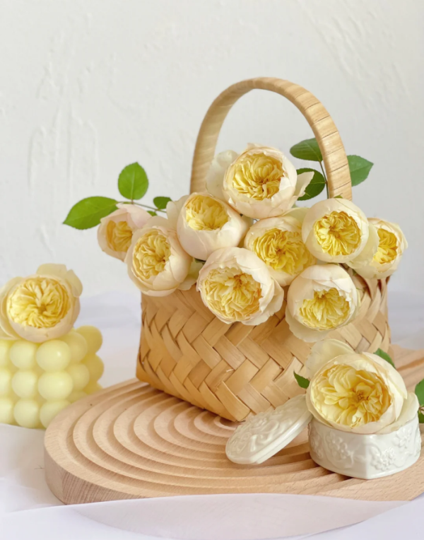 Rose Que Jiu丨Your roses