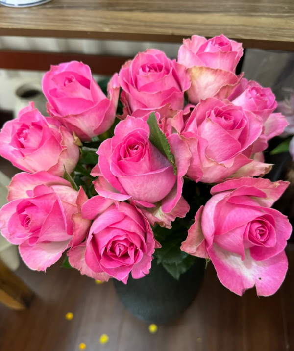 Rose Candy Avalanche丨Your roses
