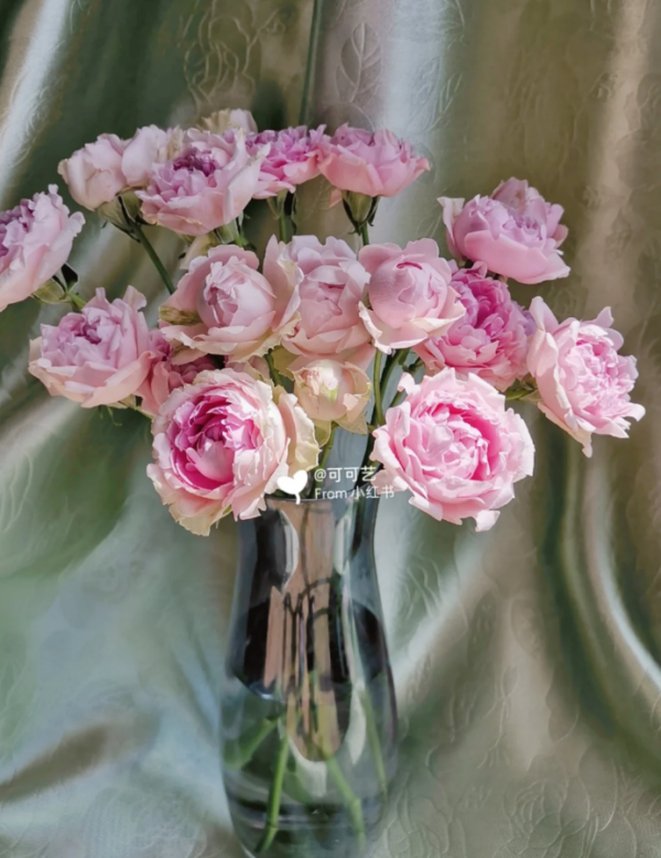 Candy Flow Roses丨Your roses