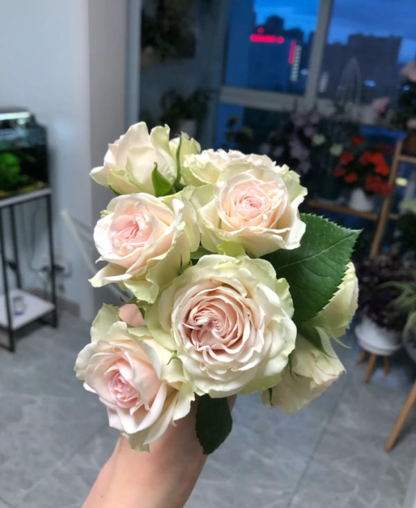 Ceramic lace Rose Plant丨Your roses