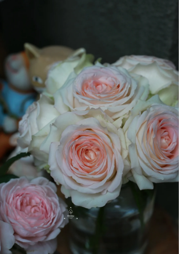 Ceramic lace Roses丨Your roses