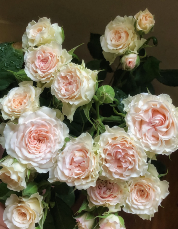 Ceramic lace Rose for sale丨Your roses
