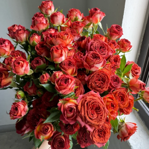 Chocolate Bubbles Rose丨Your roses