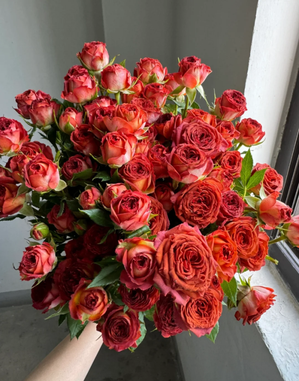 Chocolate Bubbles Rose丨Your roses