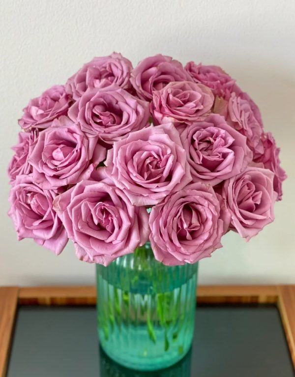 Rose Cool Water丨Your roses