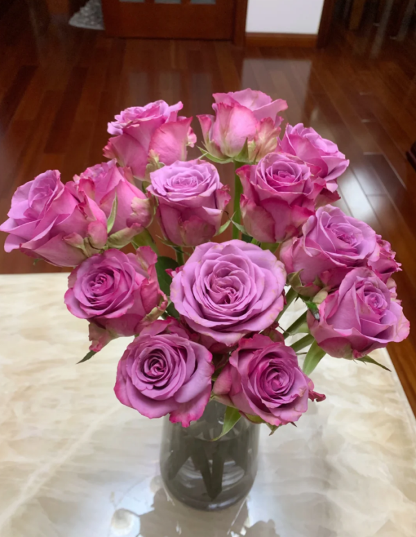 Cool Water Rose 丨Your roses