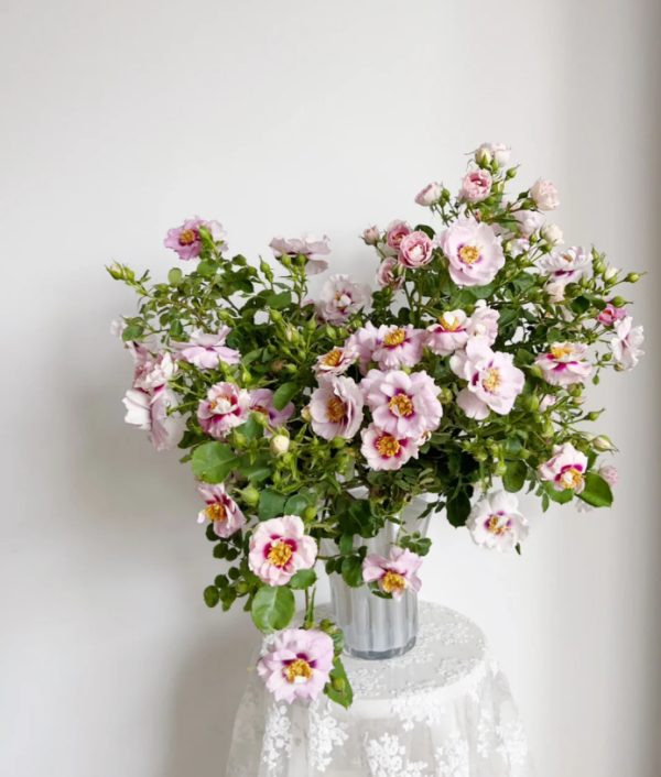 Eyes for You Rose for you丨Your roses