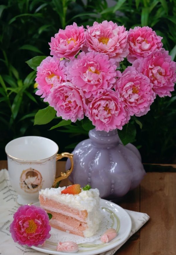 Fancy Ruffle Rose丨Your roses