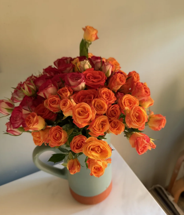 Fiesta Bubbles Rose Plant丨Your roses
