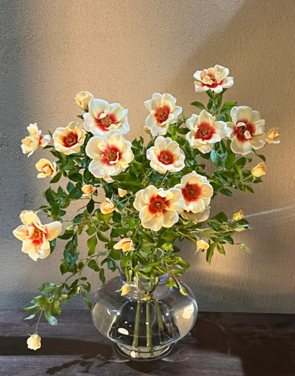 Rose Glorious Babylon Eyes丨Your roses