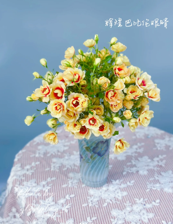 Glorious Babylon Eyes Roses丨Your roses