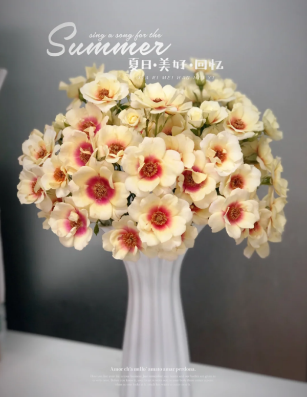 Glorious Babylon Eyes Rose for sale丨Your roses