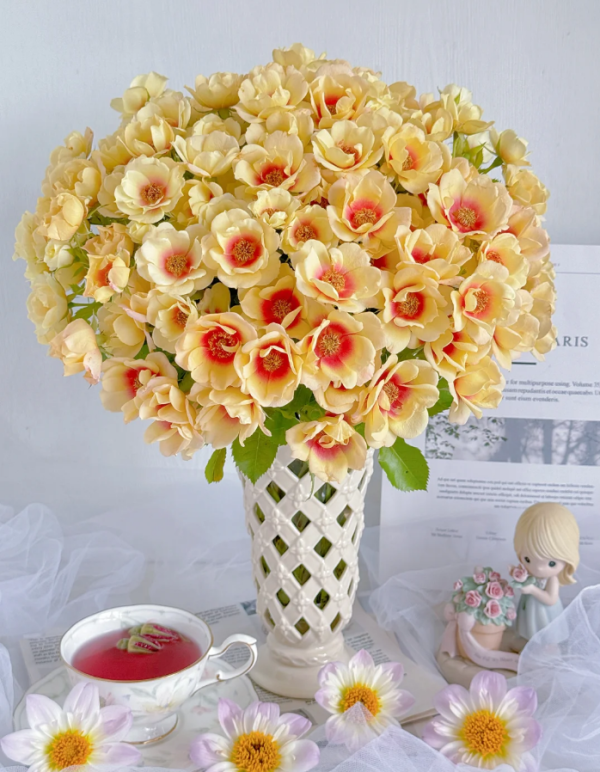 Glorious Babylon Eyes Rose丨Your roses