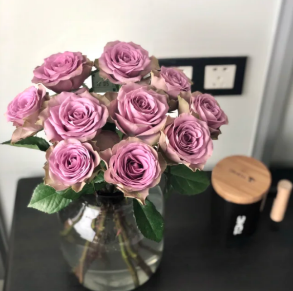 Grey Knights Rose丨Your roses