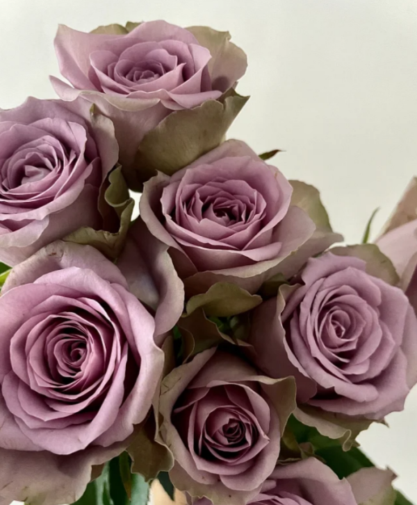 Grey Knights Roses丨Your roses