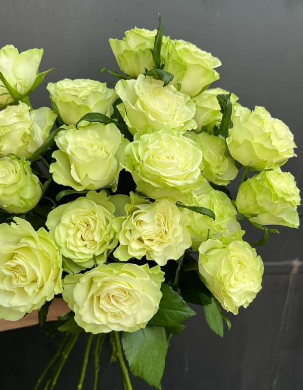Xiaoqiao Rose Plant丨Your roses