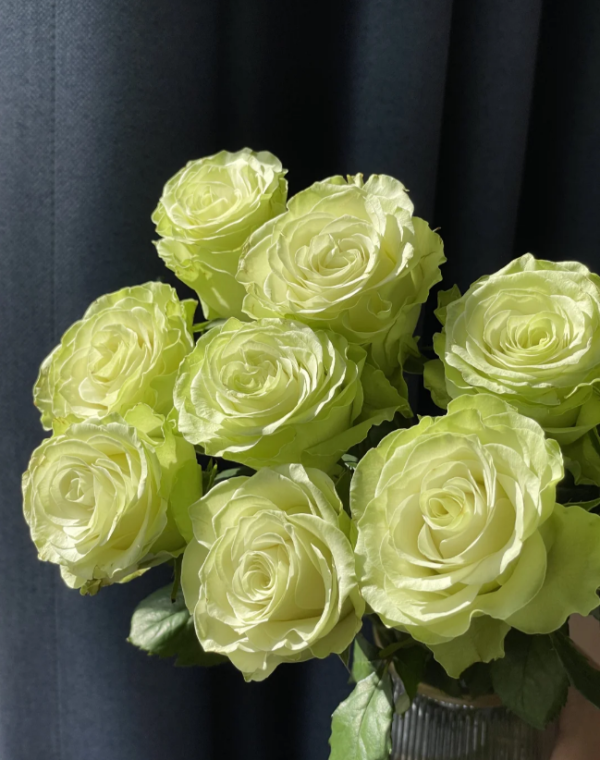 Xiaoqiao Rose丨Your roses