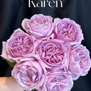 Karen Rose丨Your roses