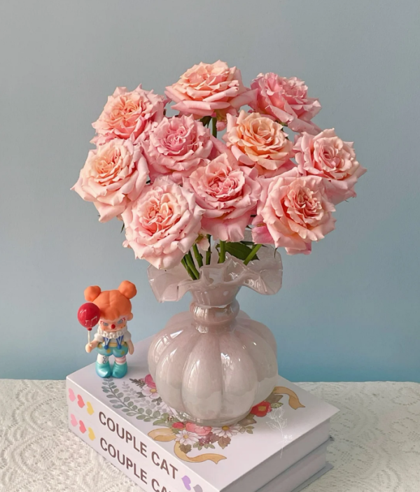 Mayra Peach Rose丨Your roses
