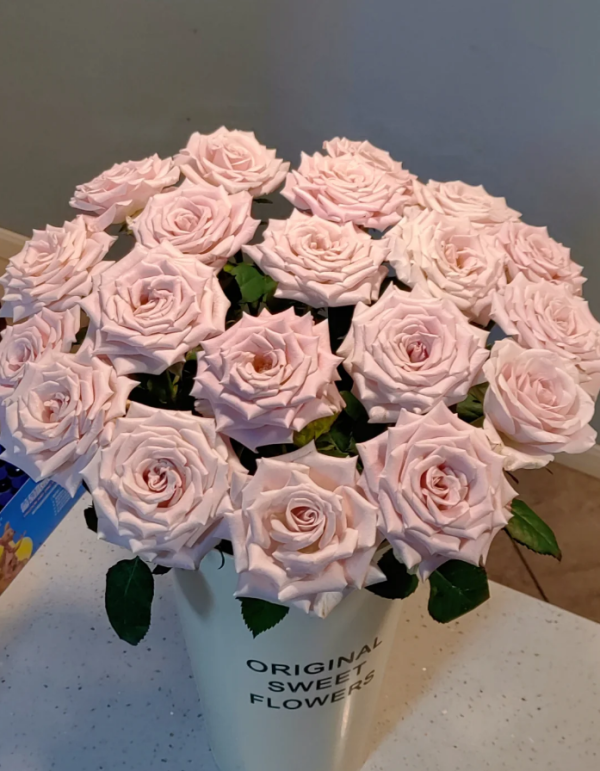 Menta Roses丨Your roses
