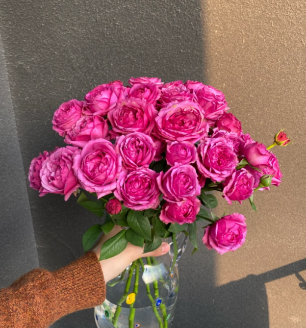 Misty Bubbles Rose丨Your roses