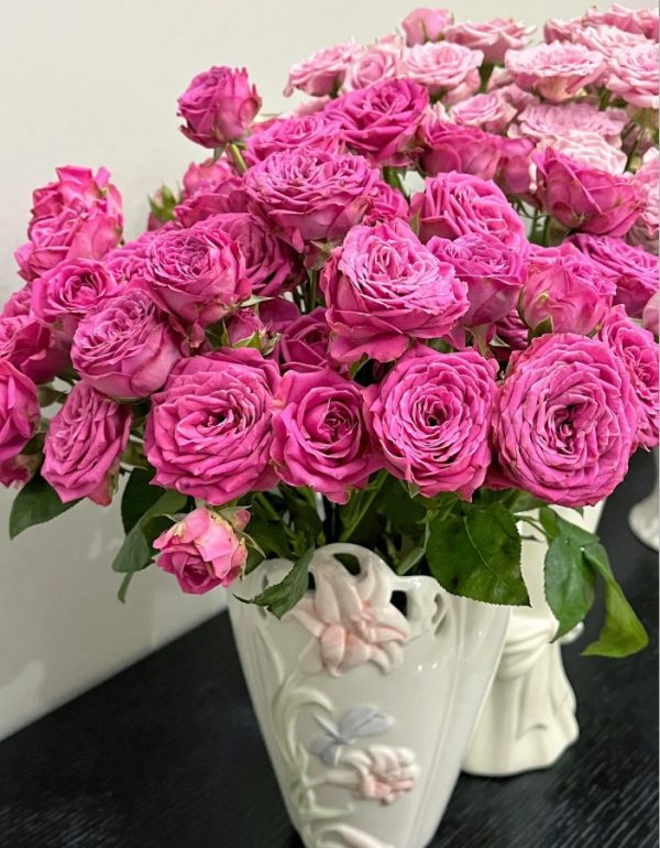 Rose Misty Bubbles丨Your roses